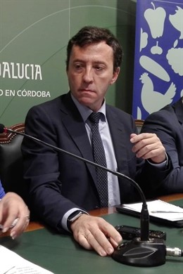 Ricardo Domínguez García-Baquero
