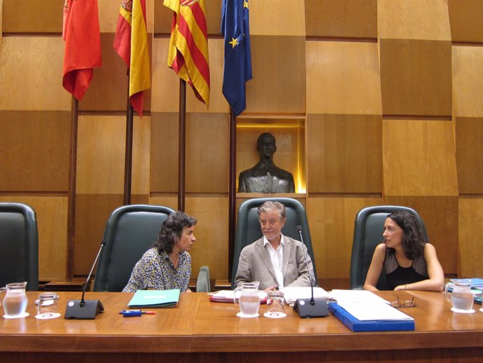                             El Alcalde De Zaragoza Preside El Pleno Municipal   