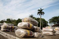 El Consejo de Seguridad de la ONU, "preocupado" por las zonas afectadas por el conflicto en Colombia