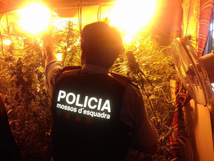 Agencia Catalana de Noticias