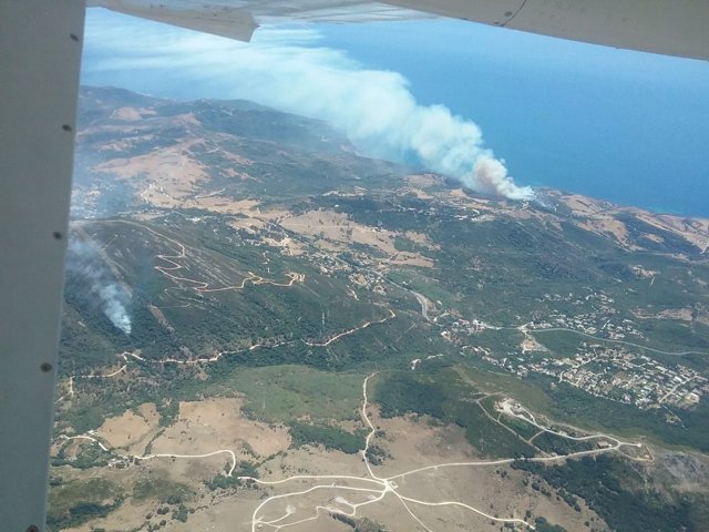 Incendio forestal en Tarifa (Cádiz)