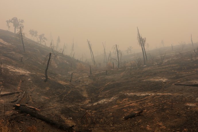 Montes quemados tras el paso del incendio Carr cerca de Igo, California.