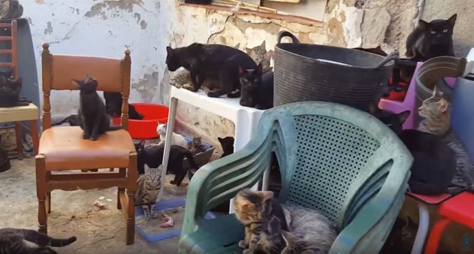 Vídeo de la noticia