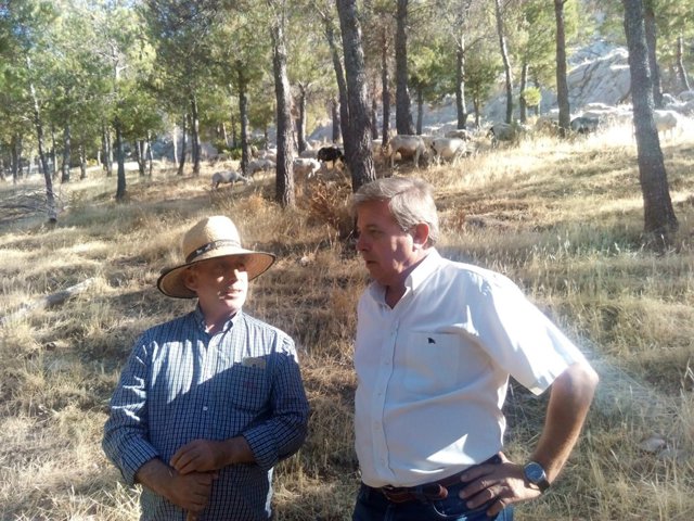 Visita a las ovejas bombero en el monte de Santa Catalina
