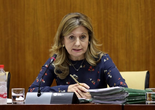 Marina Álvarez en la Comisión de Salud