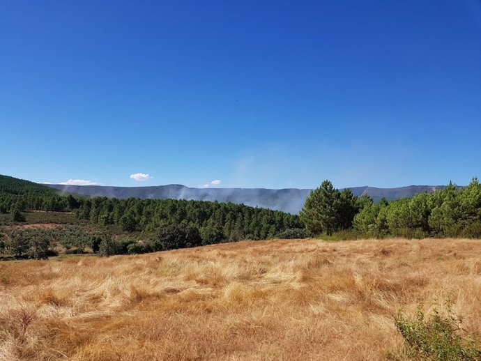 Incendio en Valverde del fresno