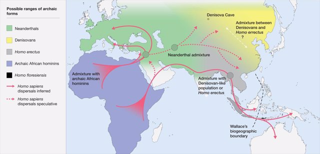 Mapa de distribución potencial de homínidos arcaicos