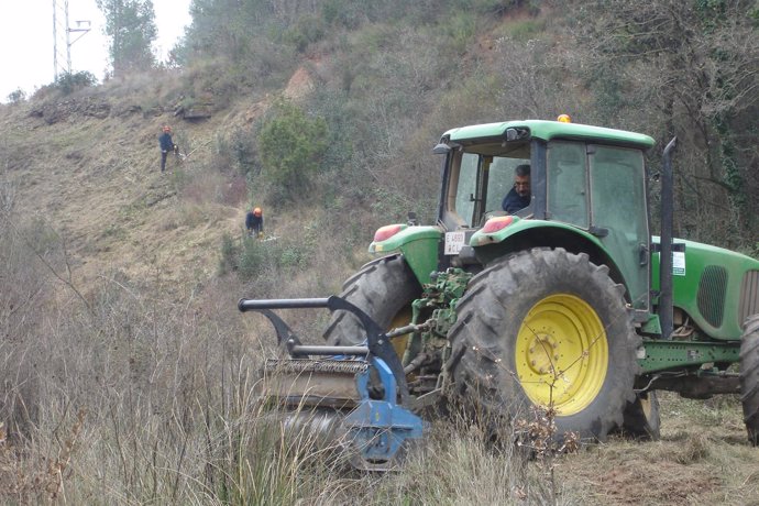 Tareas de limpieza de masa forestal en Baleares por parte de Endesa