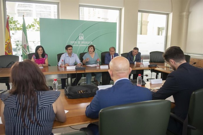 Reunión de las instituciones con responsables de Endesa