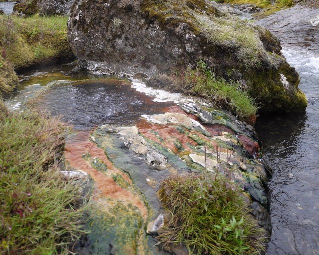 Estera microbiana cerca de una fuente termal en Islandia