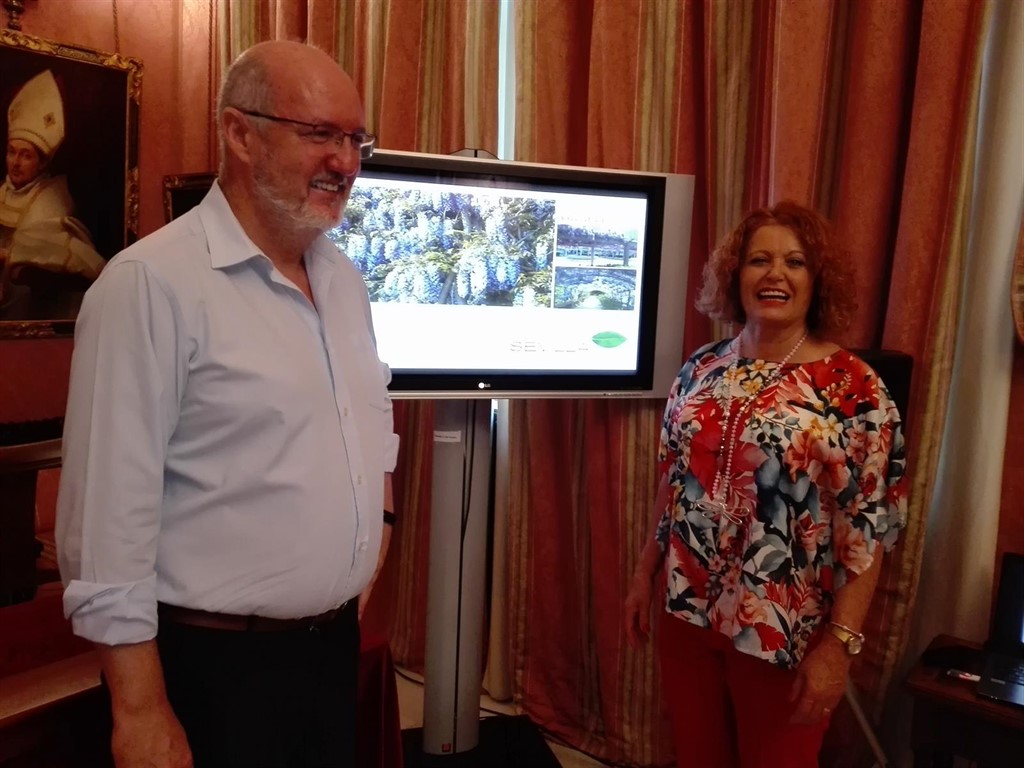 El Ayuntamiento instalará pérgolas de madera en los patios de 20