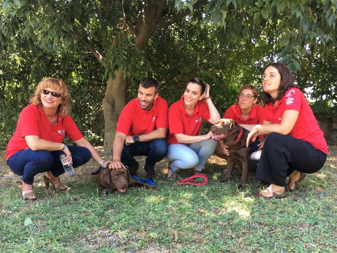 La tercera edición del Proyecto Guau