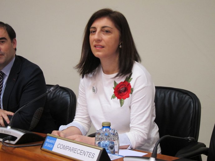 La conselleira de Medio Rural, Ángeles Vázquez.                 