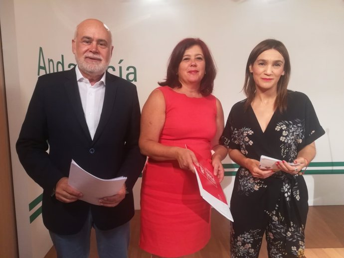 Rueda de prensa del PSOE de Granada