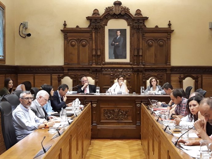 PLENO DEL AYUNTAMIENTO DE GIJÓN