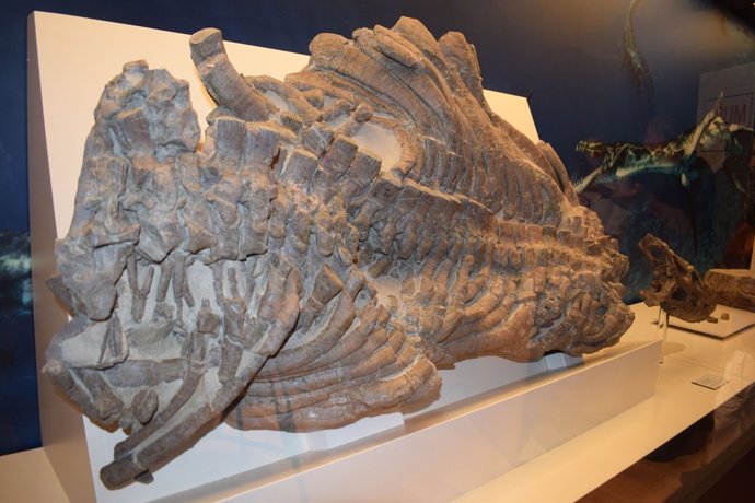 El 'Dragón del pantanto con muchos dientes' de hace 230 millones de años 