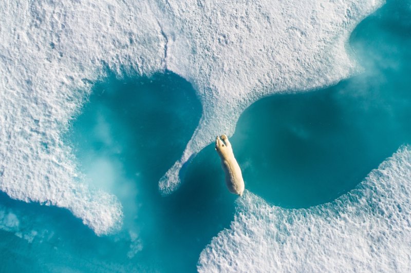 "Above The Polar Bear" por Florian