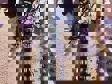 Plástico en la rueda