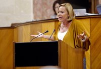 El PP exigirá explicaciones a la Junta por la "falta de controles" en la residencia de Benalmádena con un brote de sarna