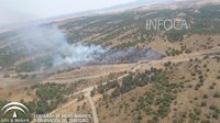 Controlado el incendio forestal del pinar de repoblación en Belalcázar (Córdoba)