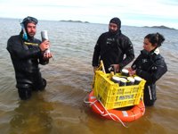 Los investigadores alertan de una posible nueva explosión del fitoplancton en el Mar Menor
