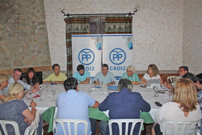 El presidente del PP de Cádiz, Antonio Sanz, en la comisión interparlamentaria