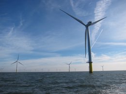 Iberdrola, parque eólico marino