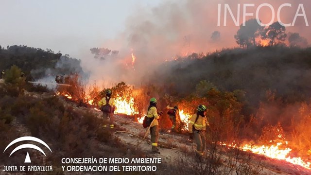 Imagen del incendio declarado en Nerva (Huelva) durante la pasada noche