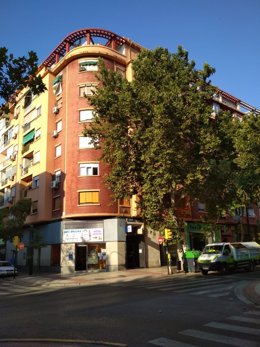 Arbolado en el barrio de Las Fuentes de Zaragoza