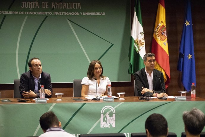 Lina Gálvez en rueda de prensa agosto 2018