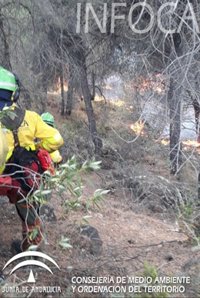 El alcalde de Nerva (Huelva) estima que han ardido "más de 1.000 hectáreas" en el incendio de este jueves