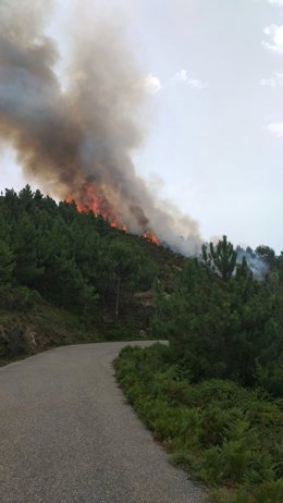 Controlado un incendio forestal en Oia 