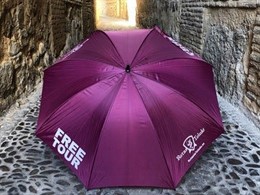 Free Tour de Rutas de Toledo