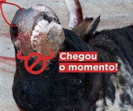 Cartel de la campaña '#ChegouOMomento' contra la tauromaquia.