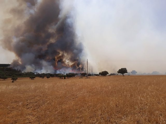 Incendio en Almuradiel