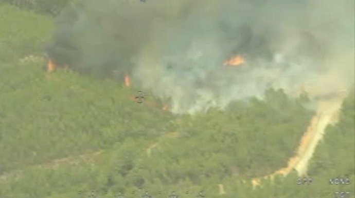 Incendio forestal en San Vicente de Alcántara