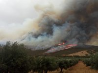 Siete personas atendidas en La Codosera por el humo procedentes del incendio de San Vicente de Alcántara