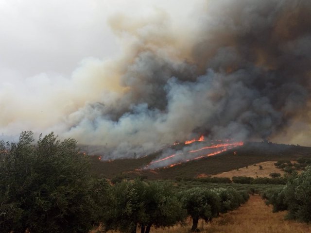 Llamas y humo en el incendio de San Vicente de Alcántara