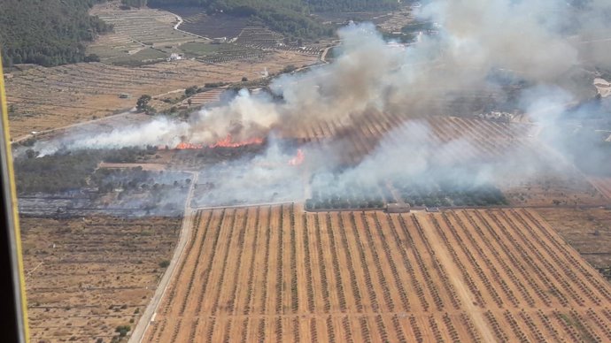 Incendio en Llaurí (Valencia)