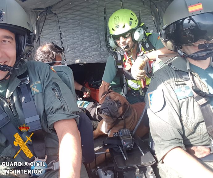 Imagen del rescate con la mascota en el helicóptero