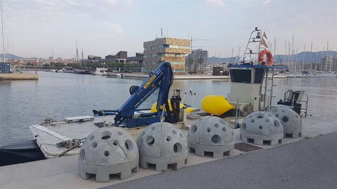 Biotipos preparados para ser colocados