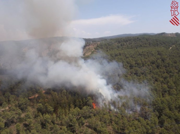 Incendio Forestal en Tuéjar (Valencia)