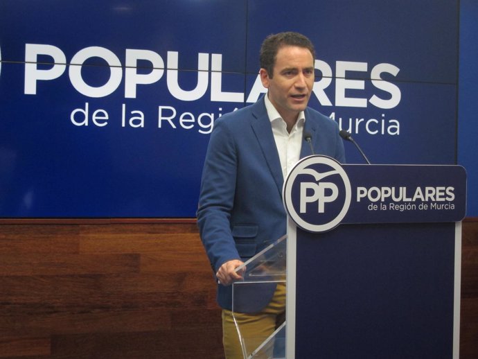El secretario general PP, Teodoro García                      