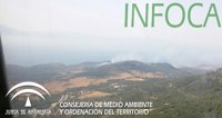 Evoluciona favorablemente el incendio declarado en el Cortijo La Hoya de Algeciras