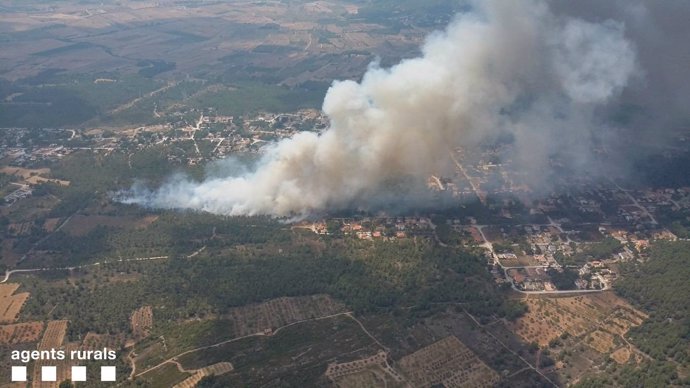 Incendio forestal en Cabra del Camp (Tarragona)