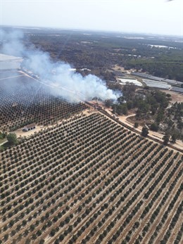 Incendio controlado por el Infoca en Moguer (Huelva).