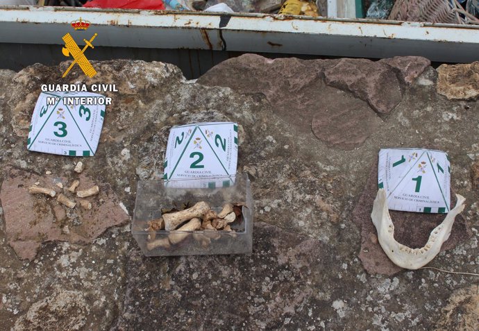 Restos óseos hallados en Santillana