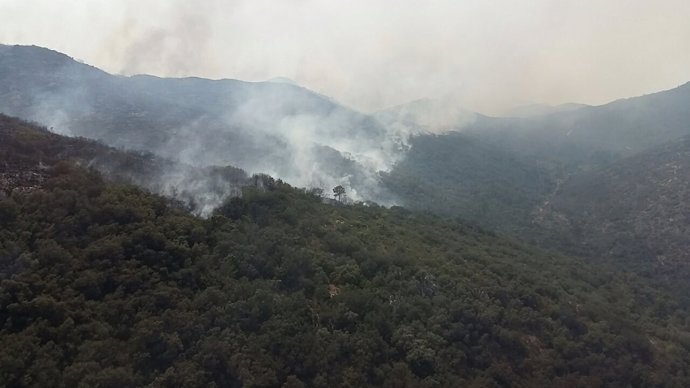 Incendio activo en Llutxent (Comunidad Valenciana)