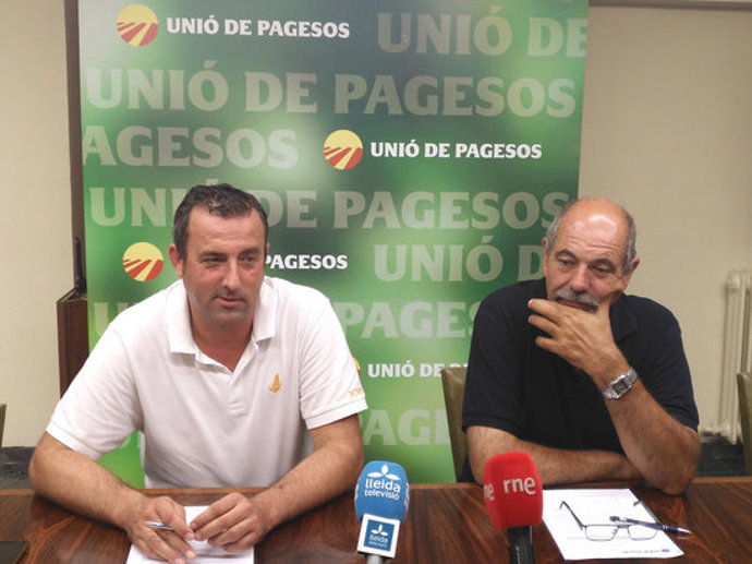 Agencia Catalana de Noticias