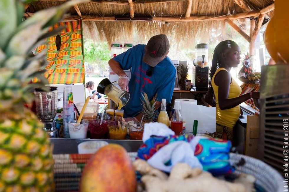 Viaje gastronómico del Rototom
